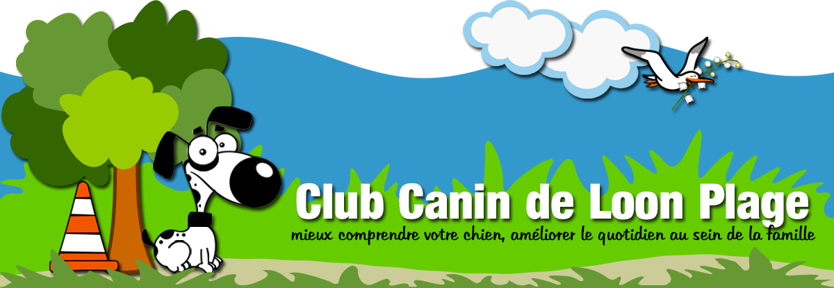 banniere mai