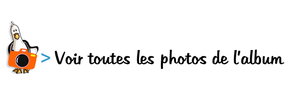 Voir Photos