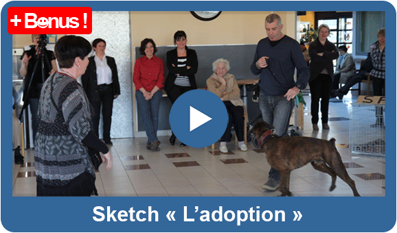 20150302 miniature video adoption