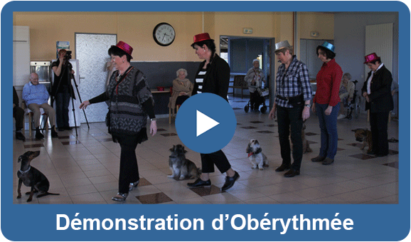 20150302 miniature video ob
