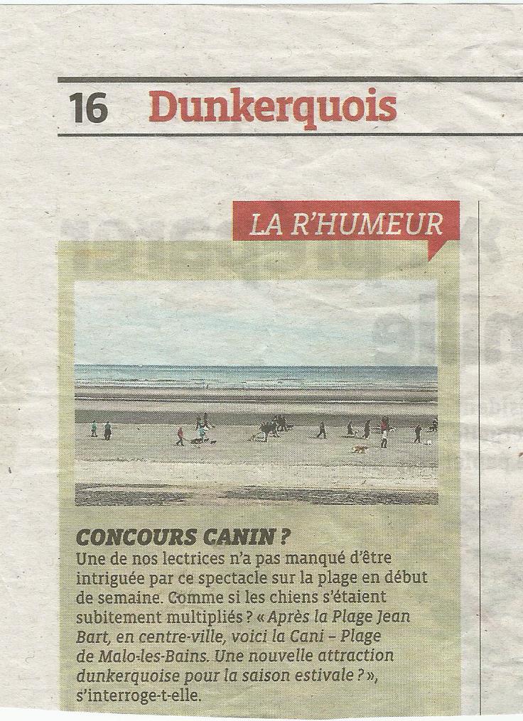 article voix du nord