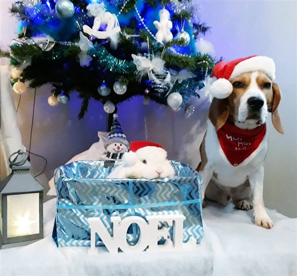 Jacadi concours noel