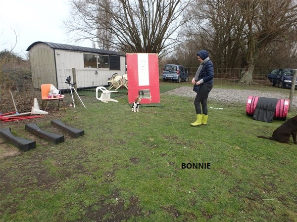 bonnie