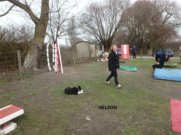 nelson2