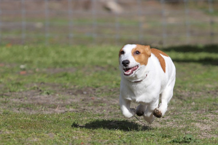 20140322 cclp 1000px 022