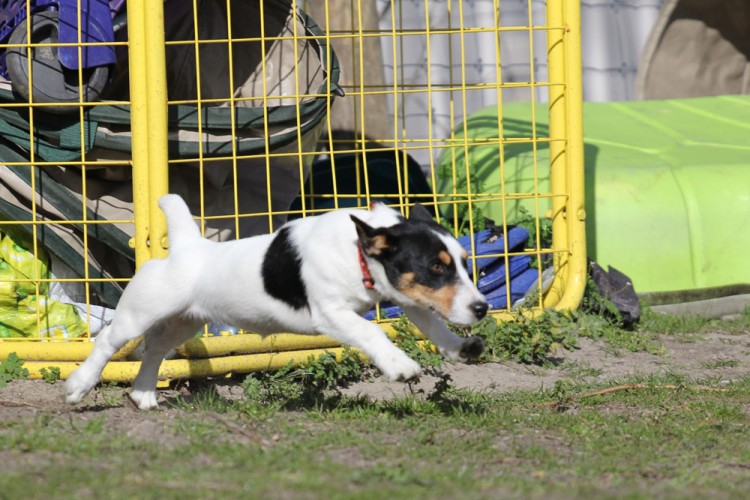 20140322 cclp 1000px 028