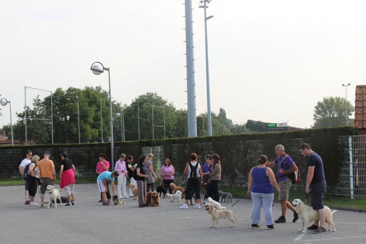 20140727 cclp parc galame 1000px 022