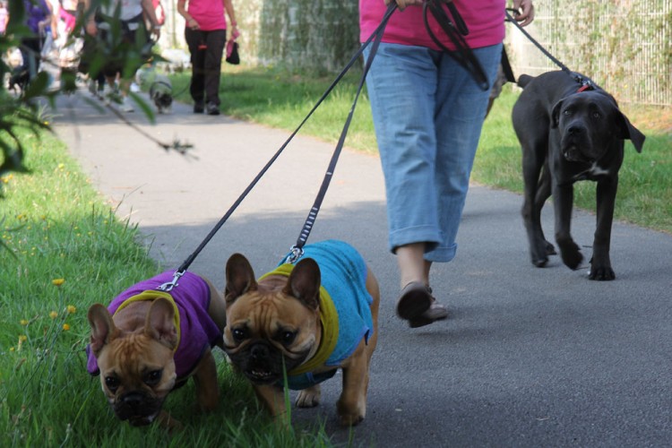 20140727 cclp parc galame 1000px 026