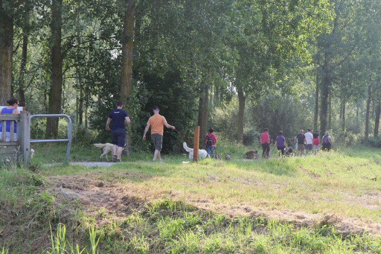 20140727 cclp parc galame 1000px 051