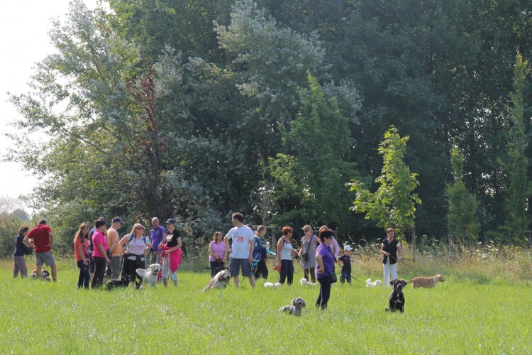 20140727 cclp parc galame 1000px 067