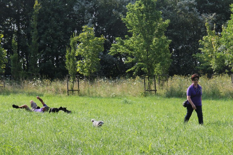 20140727 cclp parc galame 1000px 083