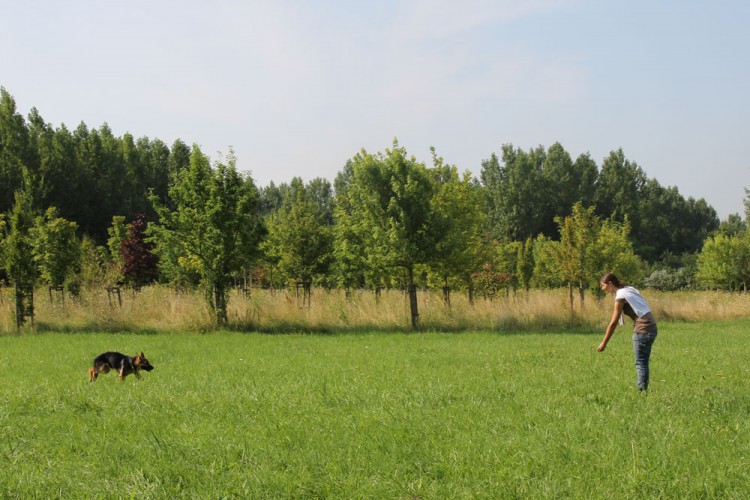 20140727 cclp parc galame 1000px 092