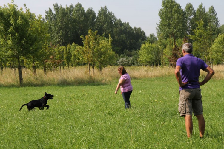 20140727 cclp parc galame 1000px 094