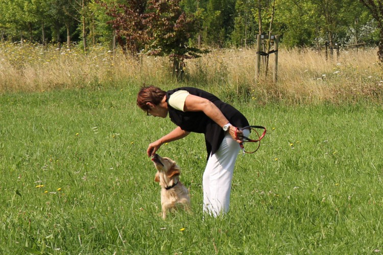 20140727 cclp parc galame 1000px 097