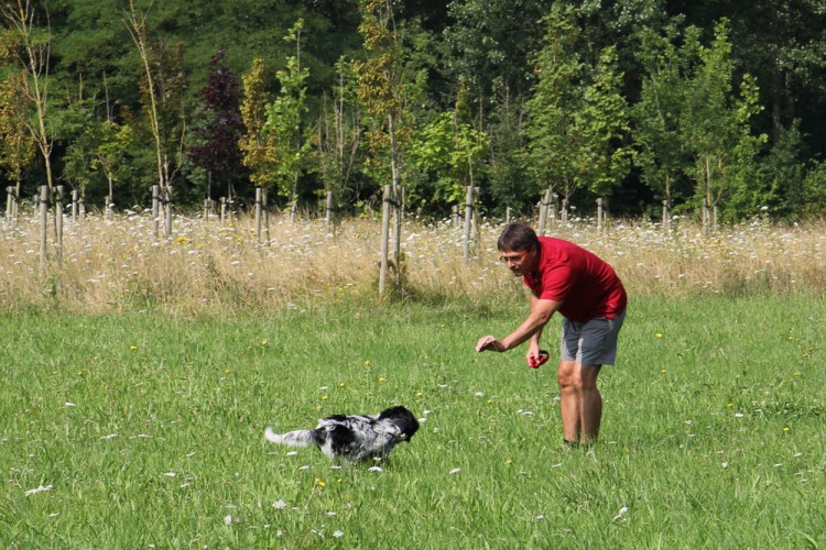 20140727 cclp parc galame 1000px 099