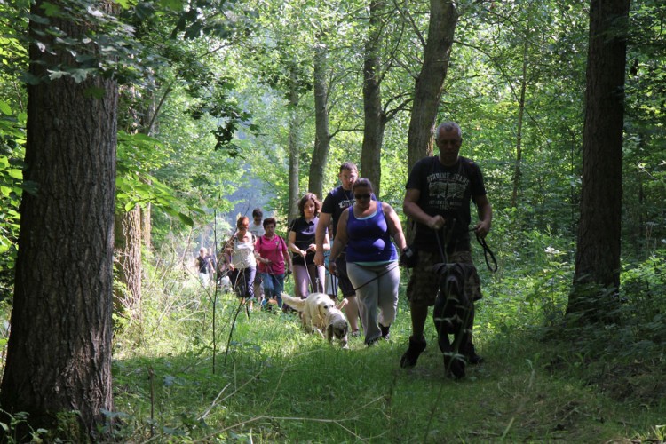 20140727 cclp parc galame 1000px 102