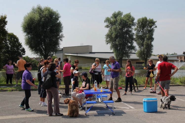 20140727 cclp parc galame 1000px 187