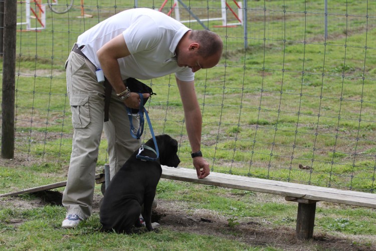 20140824 cclp chiots 1000px 052