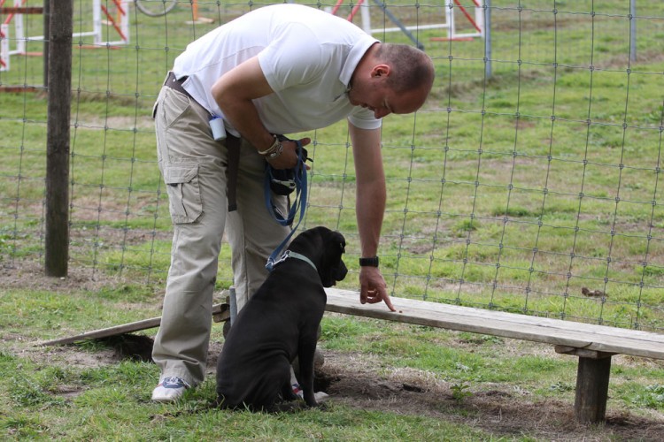20140824 cclp chiots 1000px 053