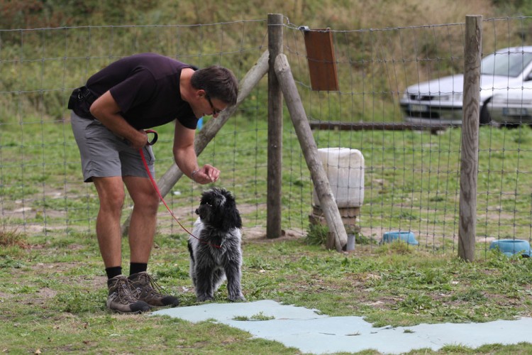 20140824 cclp chiots 1000px 055