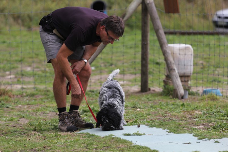 20140824 cclp chiots 1000px 058