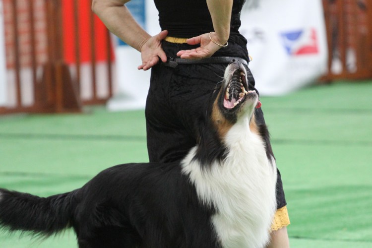 20141025 gpf oberythmee 1000px 042