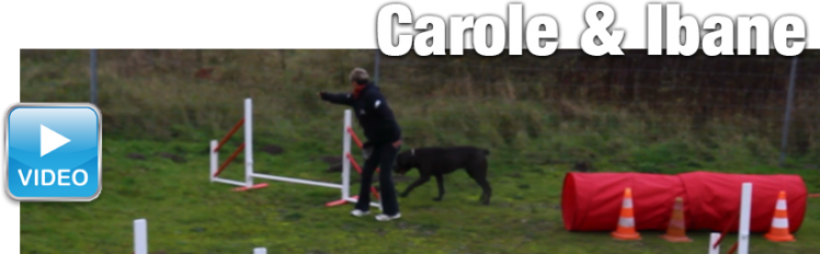 20141122 agility carole ibane