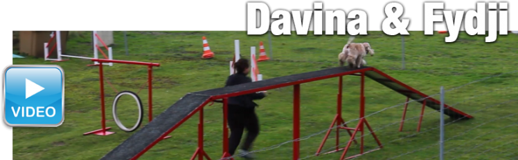 20141122 agility davina fydji