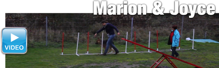 20141122 agility marion joyce