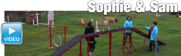 20141122 agility sophie sam