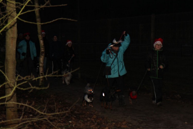 20141214 balade nocturne parc galame 1000px 016