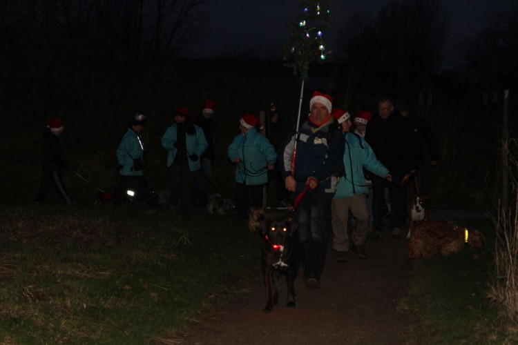 20141214 balade nocturne parc galame 1000px 020