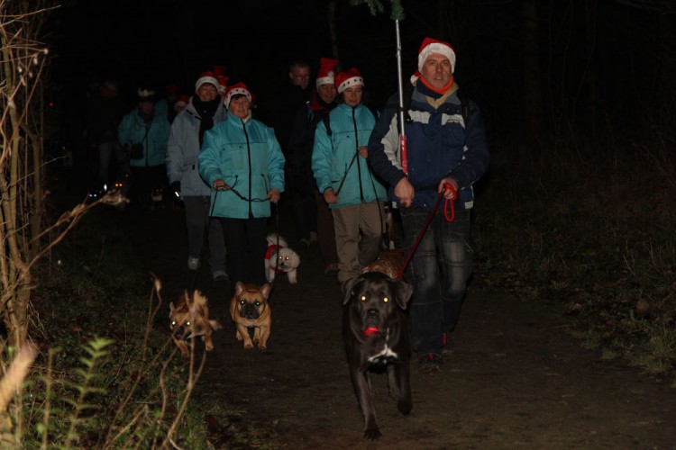 20141214 balade nocturne parc galame 1000px 028