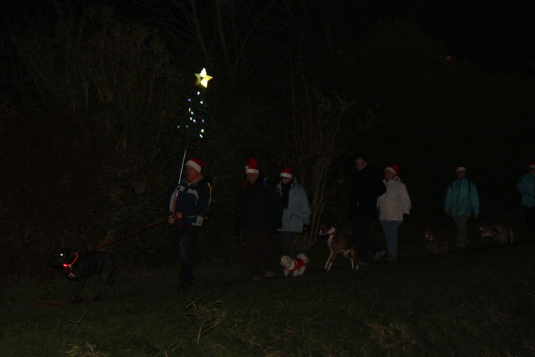 20141214 balade nocturne parc galame 1000px 041