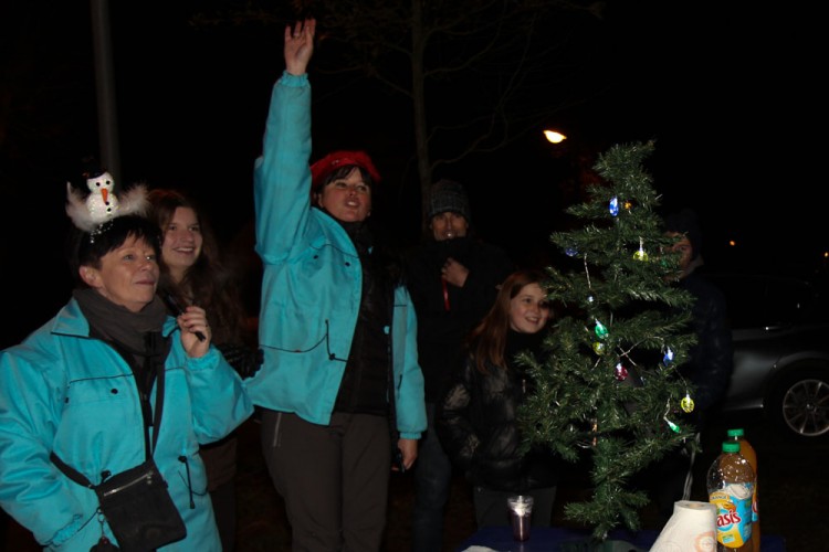 20141214 balade nocturne parc galame 1000px 078