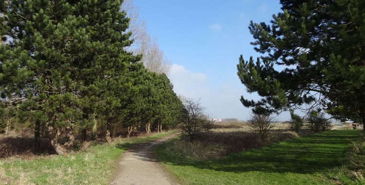 20150219 reco balade gravelines 002