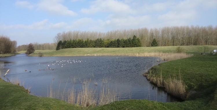 20150219 reco balade gravelines 003