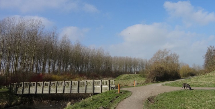 20150219 reco balade gravelines 004