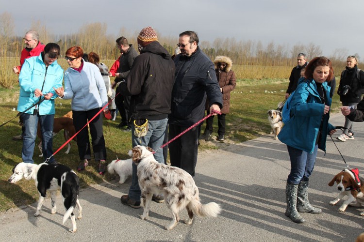 20150308 cclp gravelines plage 1000px 005