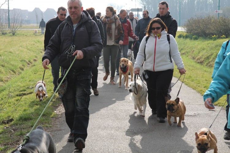20150308 cclp gravelines plage 1000px 008