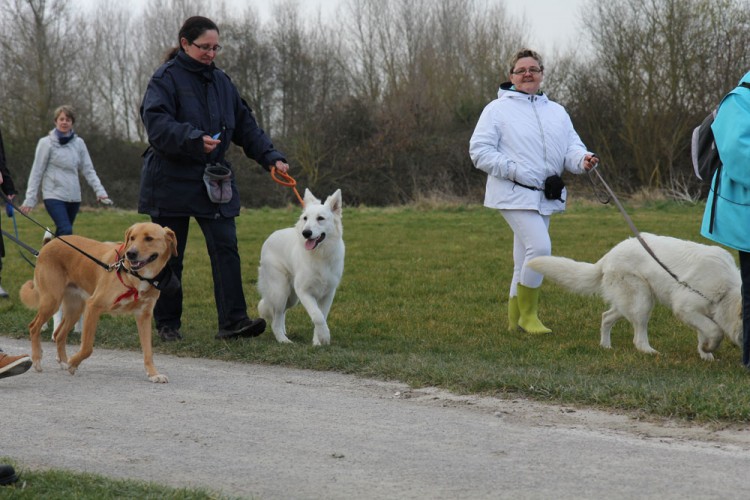 20150308 cclp gravelines plage 1000px 036