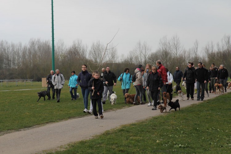 20150308 cclp gravelines plage 1000px 038