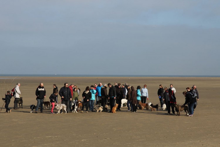 20150308 cclp gravelines plage 1000px 079