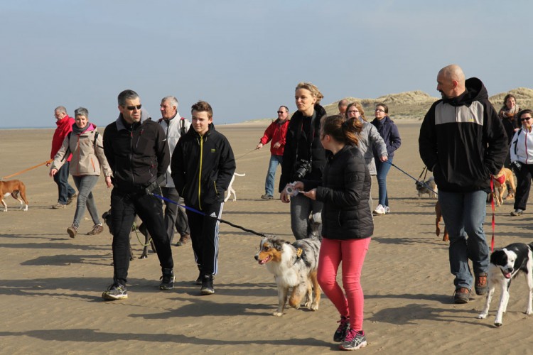 20150308 cclp gravelines plage 1000px 082