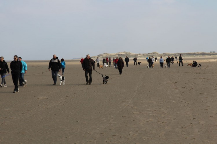 20150308 cclp gravelines plage 1000px 088