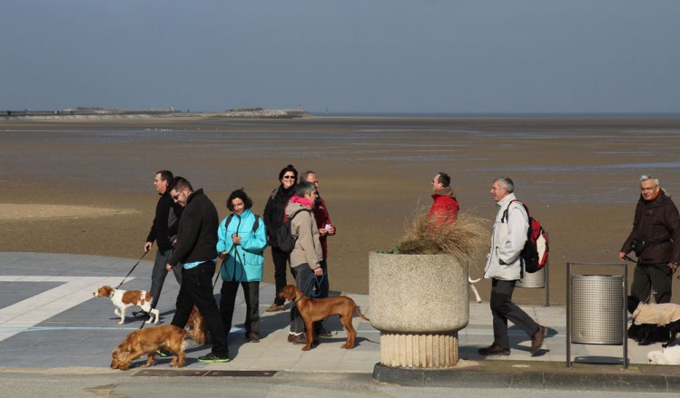 20150308 cclp gravelines plage 1000px 093