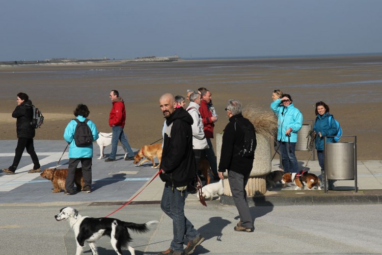 20150308 cclp gravelines plage 1000px 094