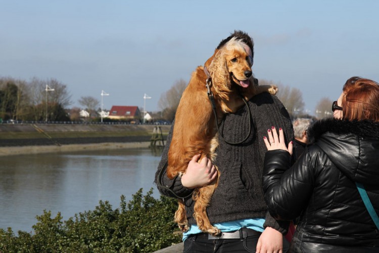 20150308 cclp gravelines plage 1000px 148