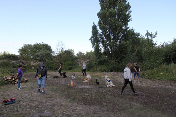 20150729 cclp cours ob 1000px 018