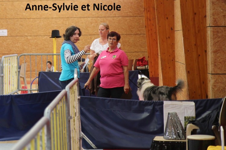 concours anne sylvie et nicole